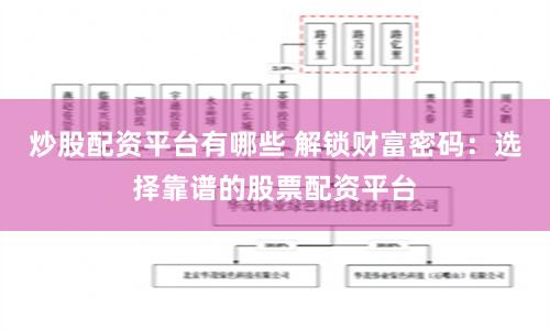 炒股配资平台有哪些 解锁财富密码：选择靠谱的股票配资平台
