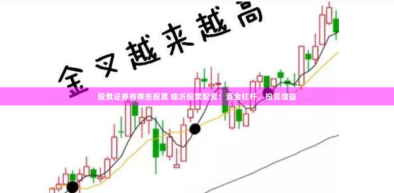 股票证券有哪些股票 临沂股票配资：资金杠杆，投资增益