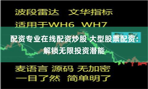 配资专业在线配资炒股 大型股票配资:解锁无限投资潜能