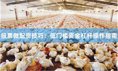 股票微配资技巧：低门槛资金杠杆操作指南